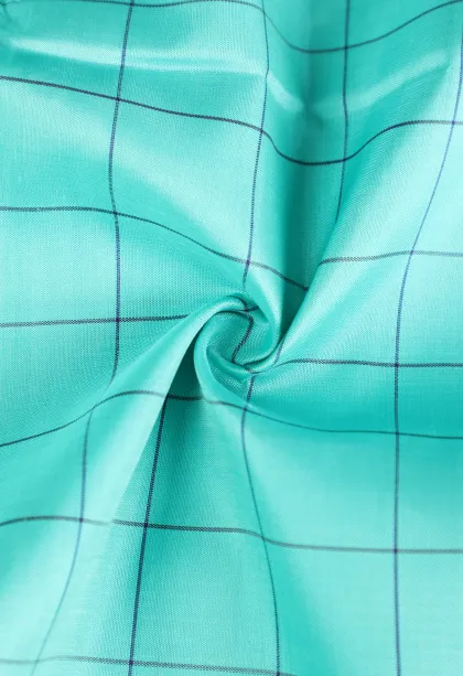 Arctic Blue Kanchipuram Silk Sarees with Gold Zari Checks