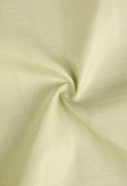 Pistachio Green Kanchipuram Silk Sarees with Gold Zari Plain