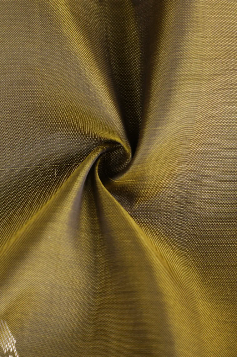Metallic Gold Soft Silk Saree with Silver Zari Flower Mottif view 4