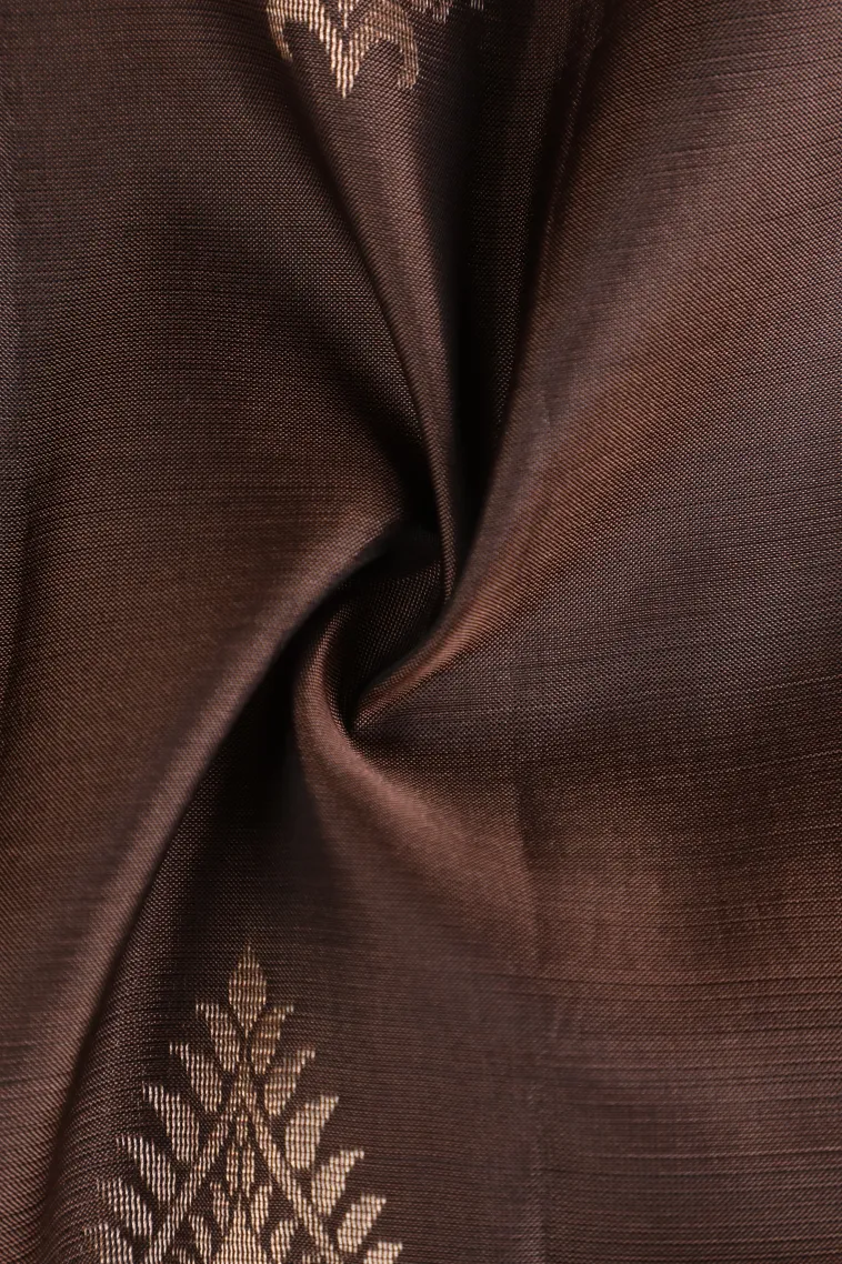 Peanut Brown Soft Silk Saree with Gold Zari Straipes And Puttas view 4