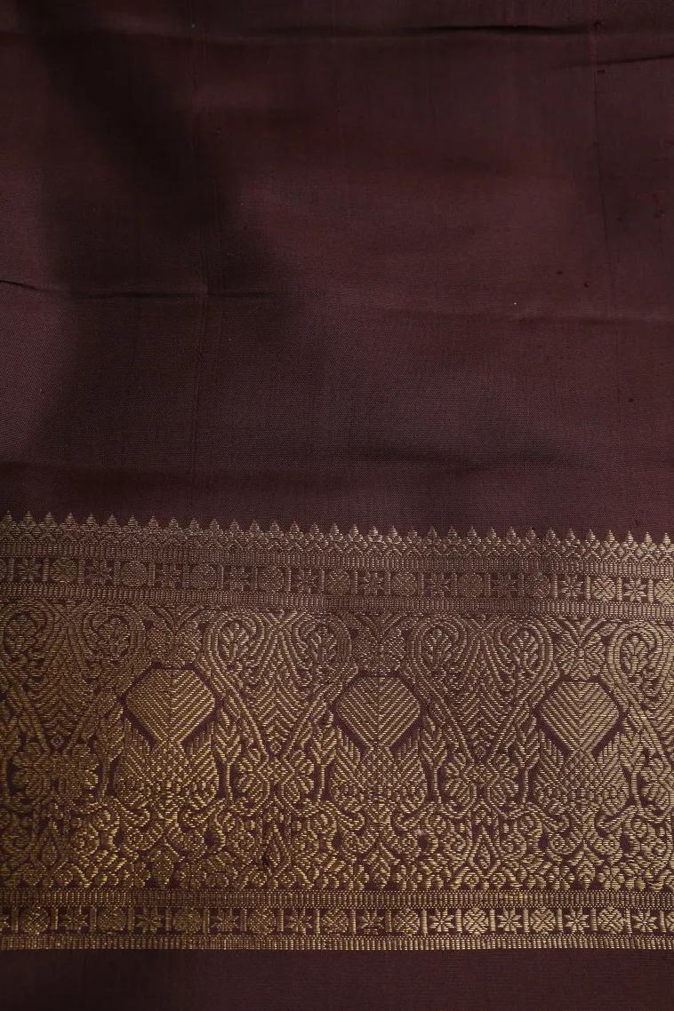Coffee Brown Kanchipuram Silk Sarees with Gold And Silver Zari Buttis (small Dots Or Motifs) view 3