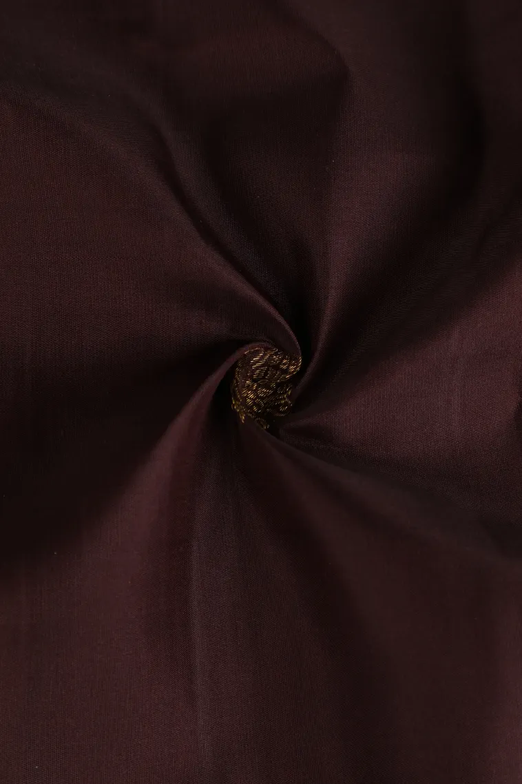 Coffee Brown Kanchipuram Silk Sarees with Gold And Silver Zari Buttis (small Dots Or Motifs) view 4