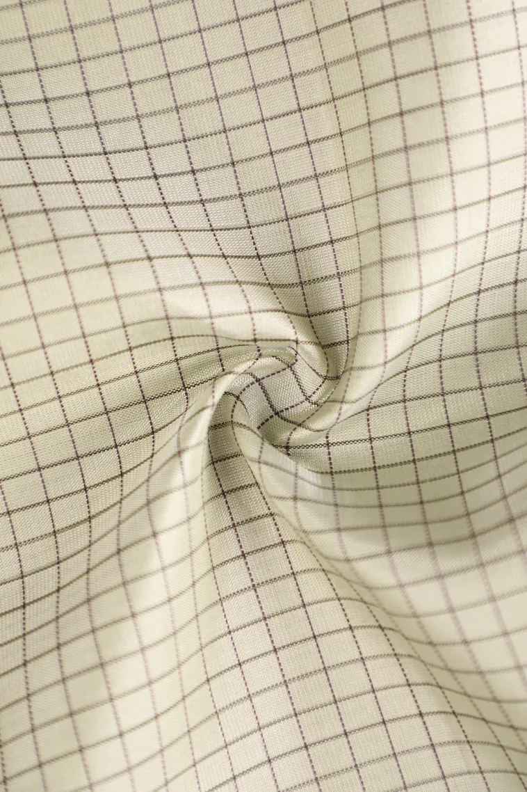 Pistachio Green Soft Silk Saree with Gold Zari Small Checks Pattern view 4