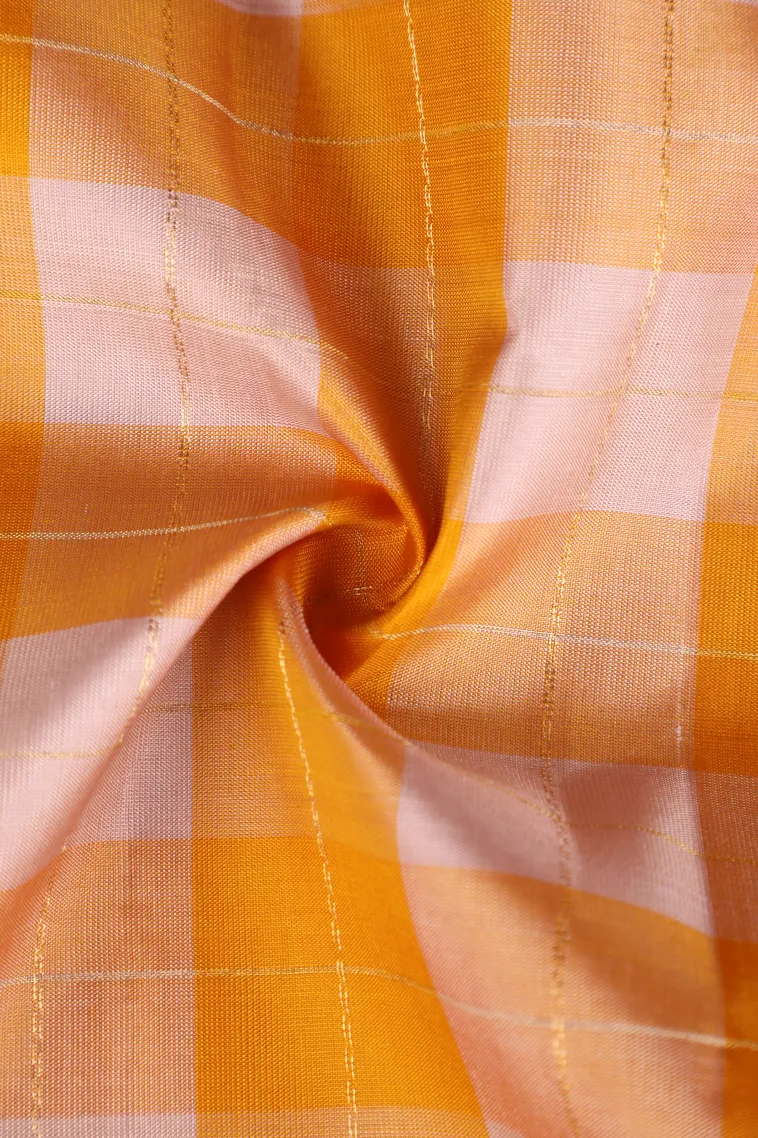 Coconut White Soft Silk Saree with Gold And Silver Zari Checks view 4