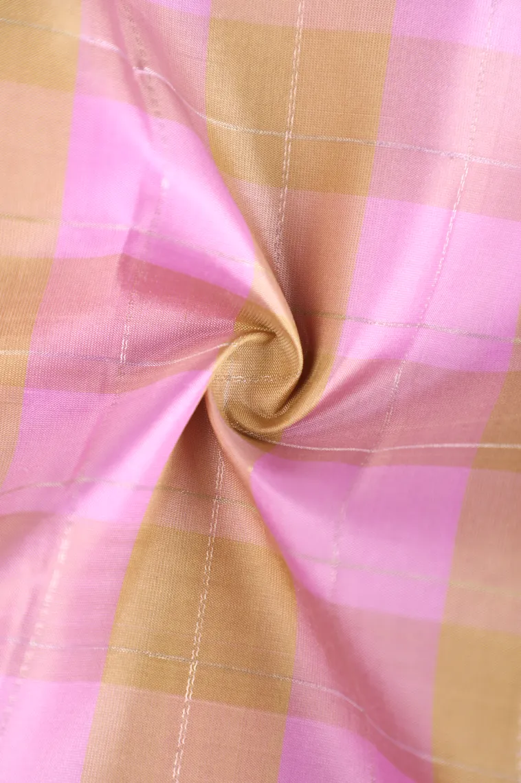 Blush Pink Soft Silk Saree with Gold And Silver Zari Checks view 4
