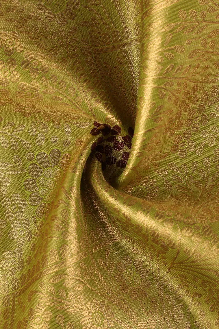 Olive Green Apoorva Silk Sarees with Gold Zari Floral Patterns view 4