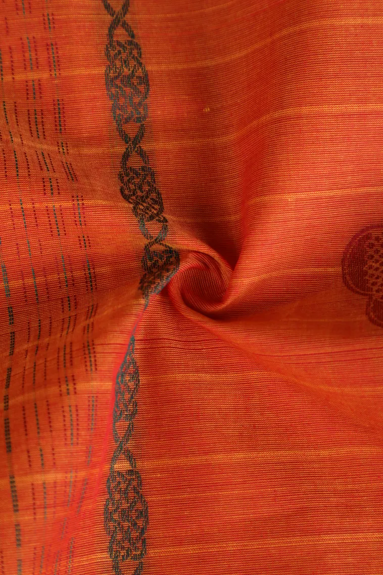 Carrot Orange Pure Handloom Kovai Cotton Without Zari With Stripes And Puttas view 4