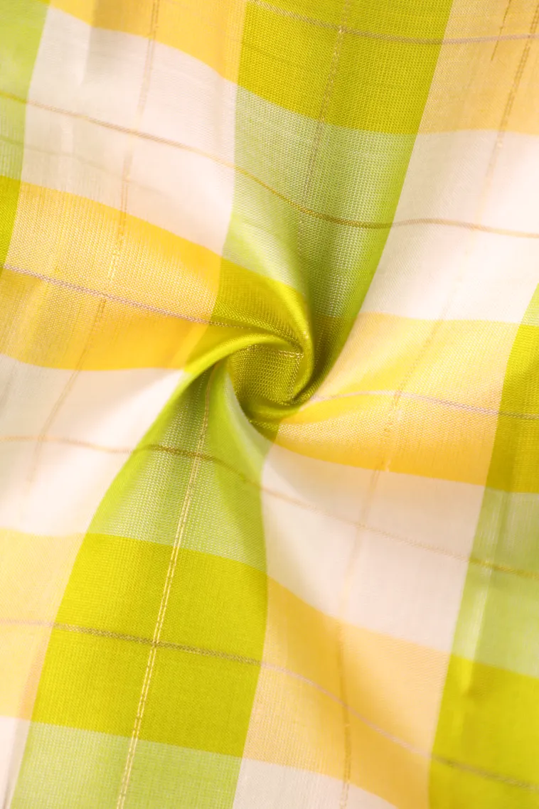 Cotton White Soft Silk Saree with Gold And Silver Zari Checks view 4