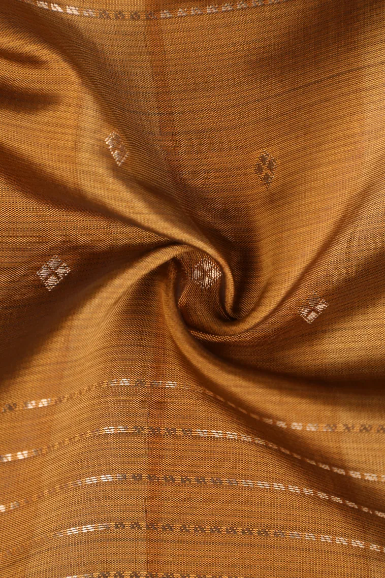 Tortilla Brown Soft Silk Sarees with Gold Zari Straipes And Puttas view 4