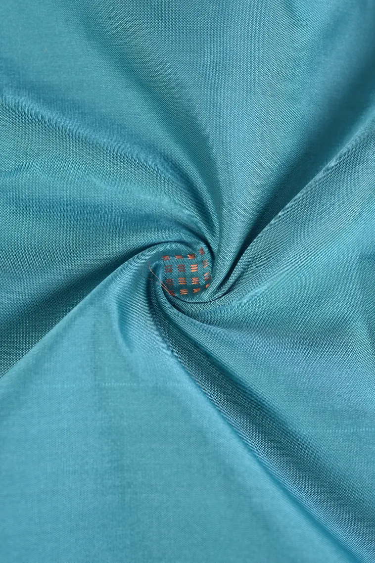 Sky Blue Arani Silk Sarees with Copper Zari Peacock Motifs view 4