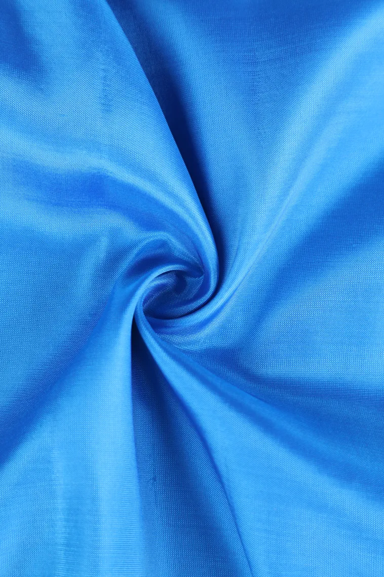 Sky Blue Soft Silk Saree with Gold Zari Stripes And Puttas view 4