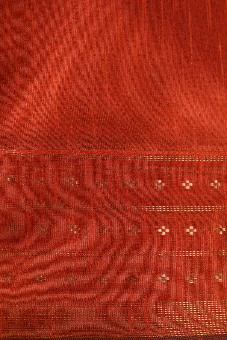 Coffee Brown Tussar Saree with Gold Zari Cross Straipes view 3