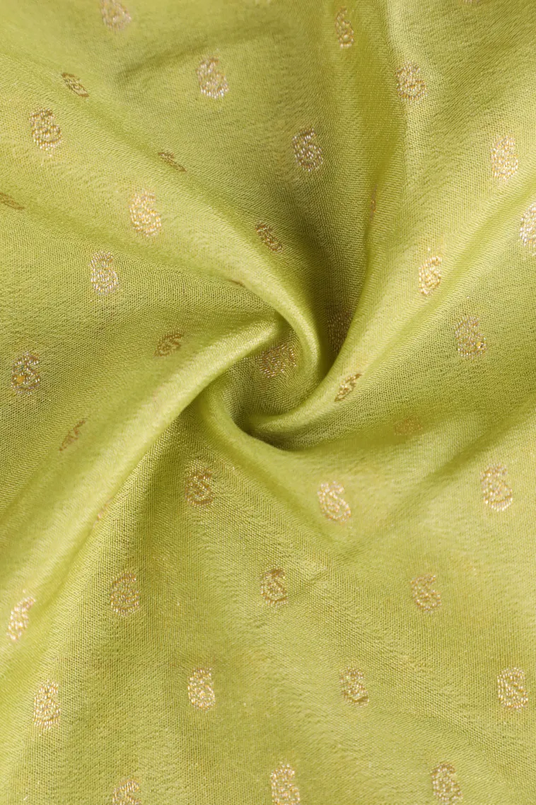 Lime Green Tissue Banaras with Gold Zari Buttis (small Dots Or Motifs) view 4