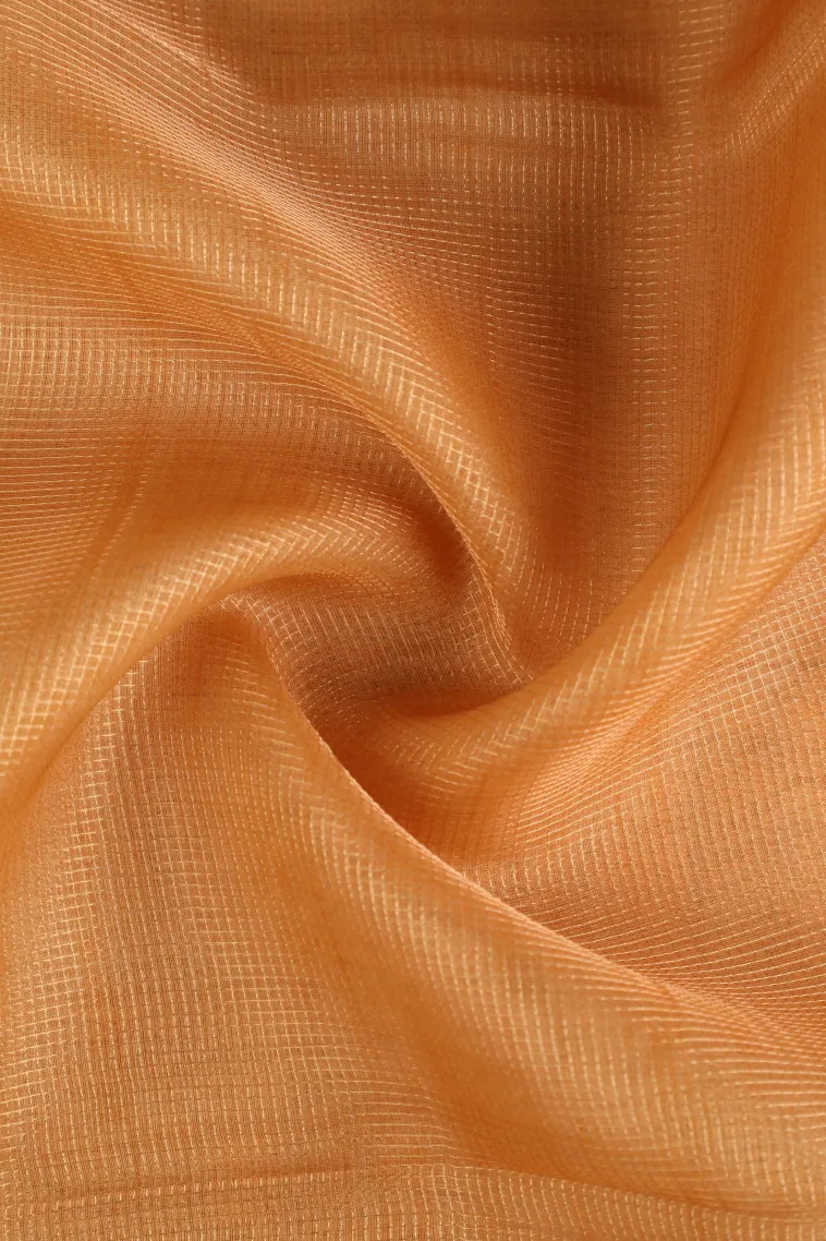 Honey Orange Organza Saree with Gold Zari Plain view 4