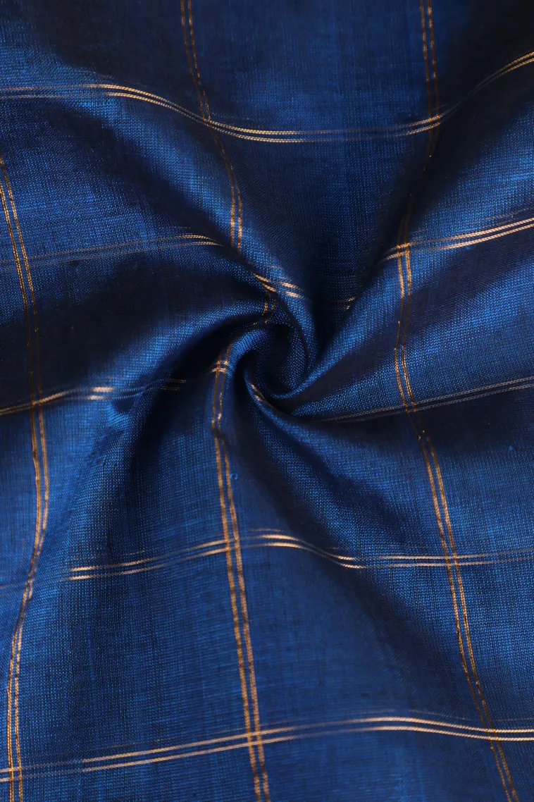 Azure Blue Silk Cotton with Gold Zari Checks view 4