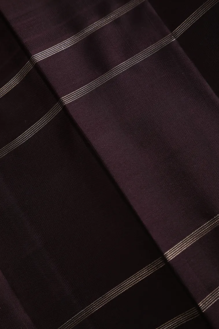 Coconut White Soft Silk Saree with Gold And Silver Zari Checks view 3