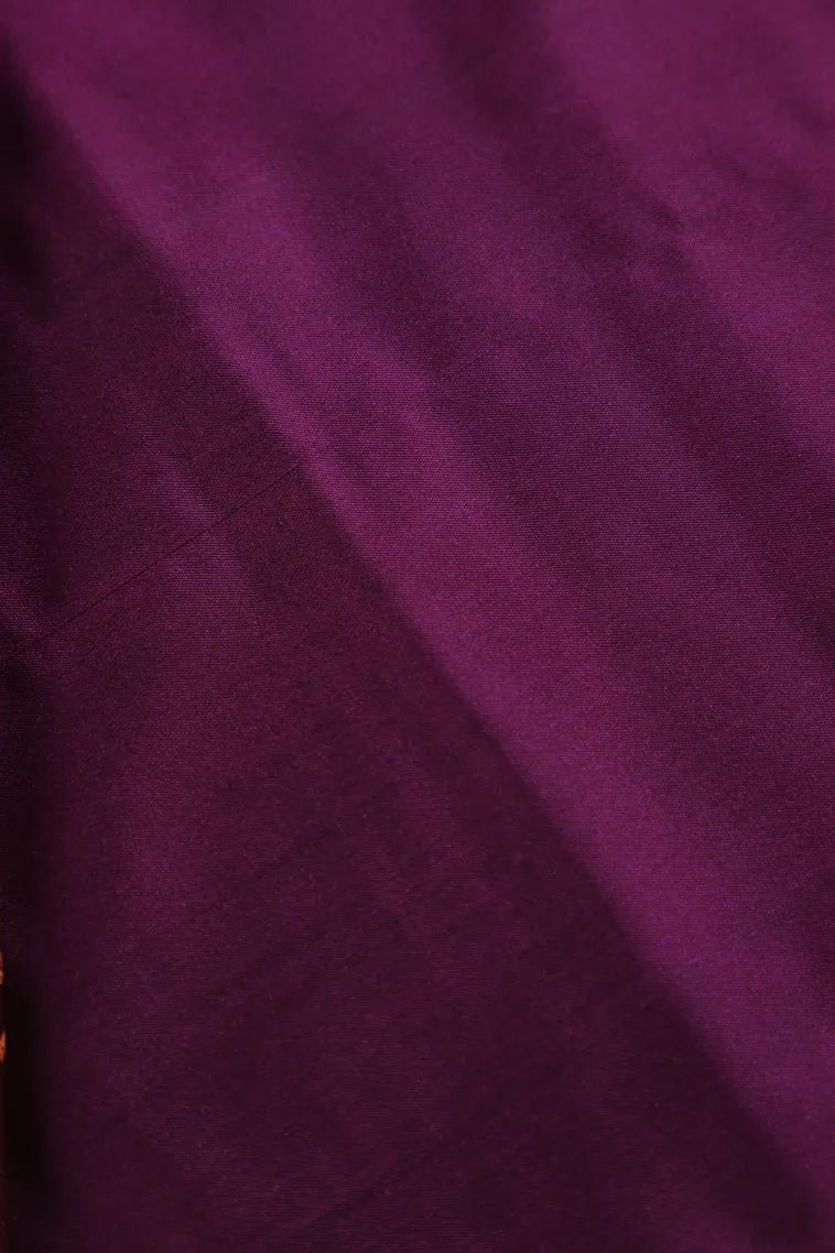 Cider Orange Soft Silk Saree with Copper Zari Flower Mottif view 3
