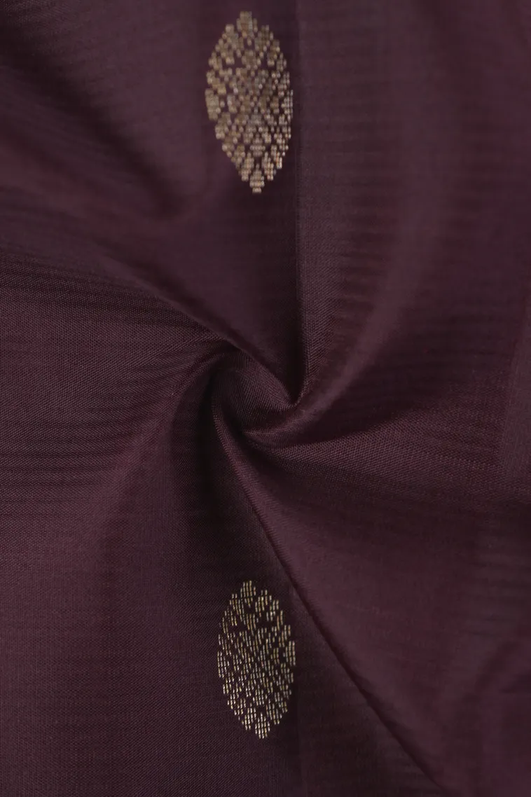 Sangria Red Soft Silk Saree with Gold Zari Buttis (small Dots Or Motifs) view 4