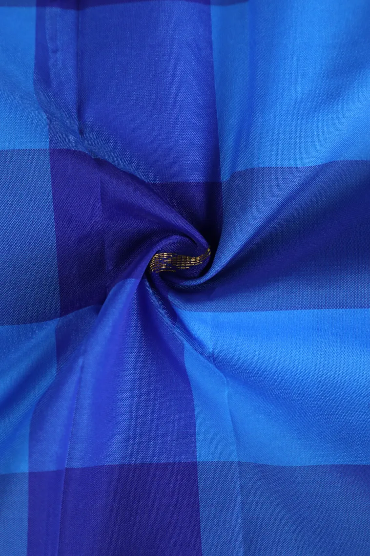 Daffane Blue Arani Silk Sarees with Gold Zari Checks And Puttas view 4