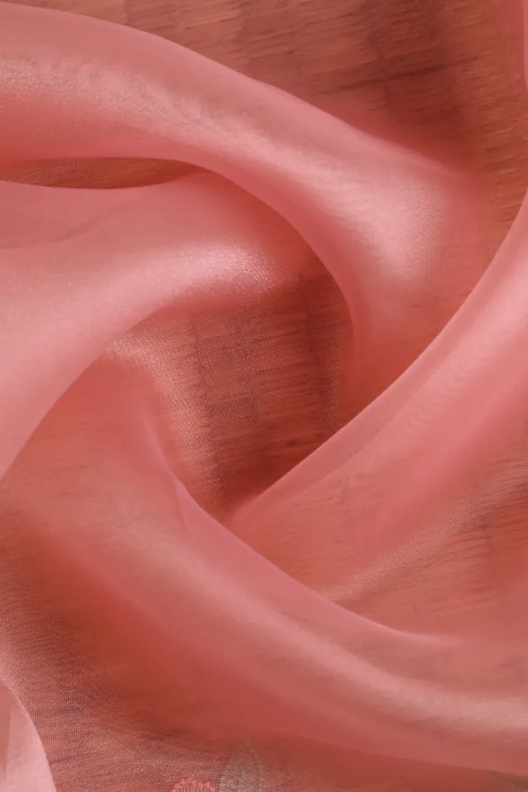Lemonade Pink Organza Saree with Thread Zari Flower Mottif view 4