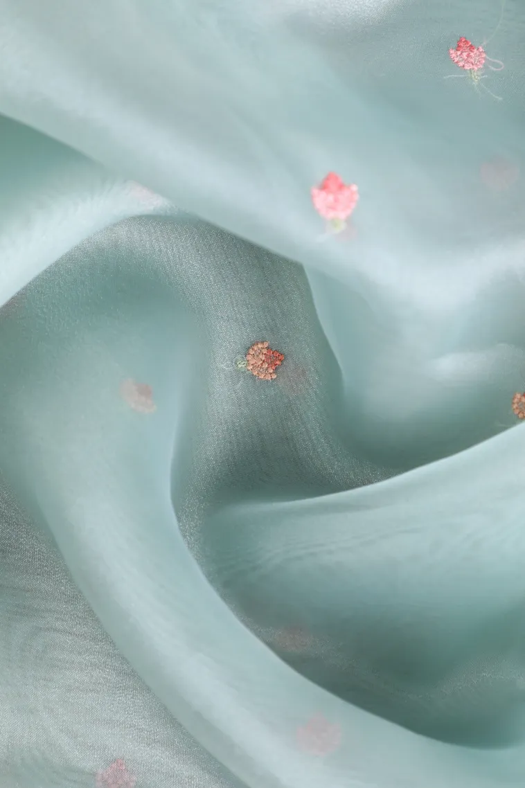 Sky Blue Organza Saree with Thread Zari Flower Mottif view 4