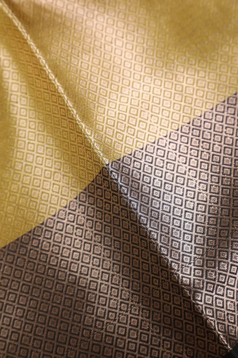Peach Pink Semi Tussar Silk with Bronze Zari Geometric Shapes view 3