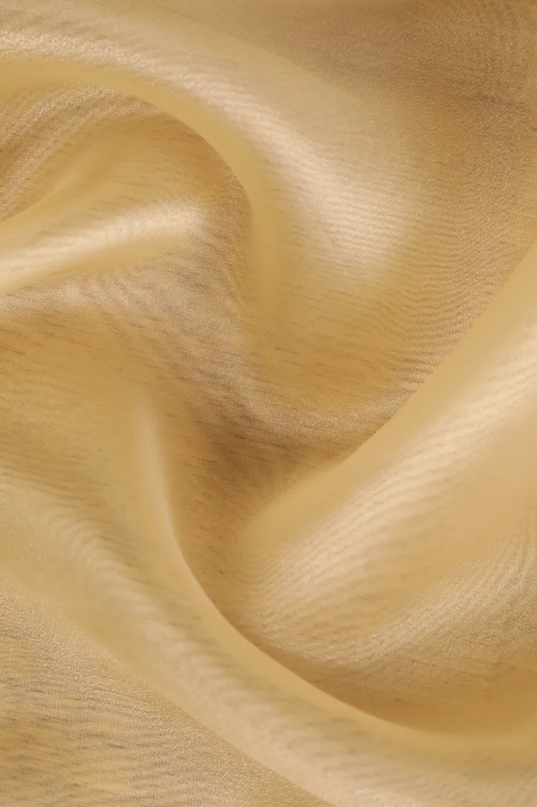 Sandollar Yellow Organza Saree with Thread Zari Flower Mottif view 4