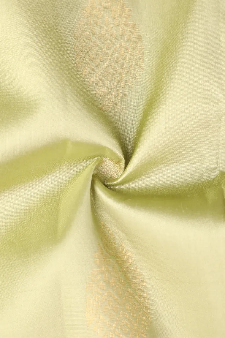 Pistachio Green Soft Silk Saree with Gold Zari Buttis (small Dots Or Motifs) view 4