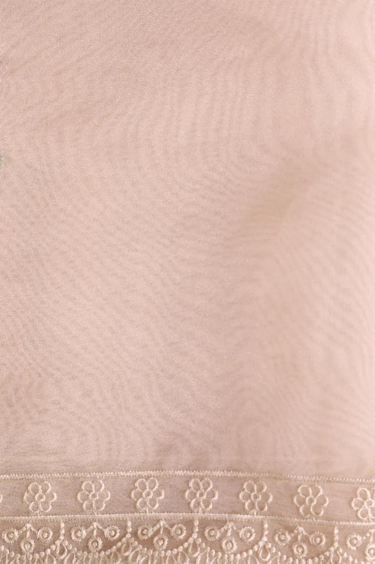 Salt White Organza Saree with Thread Zari Flower Mottif view 3