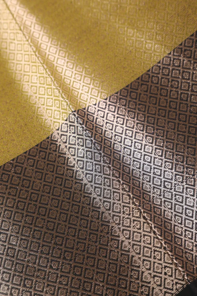Olive Green Semi Tussar Silk with Bronze Zari Geometric Shapes view 3