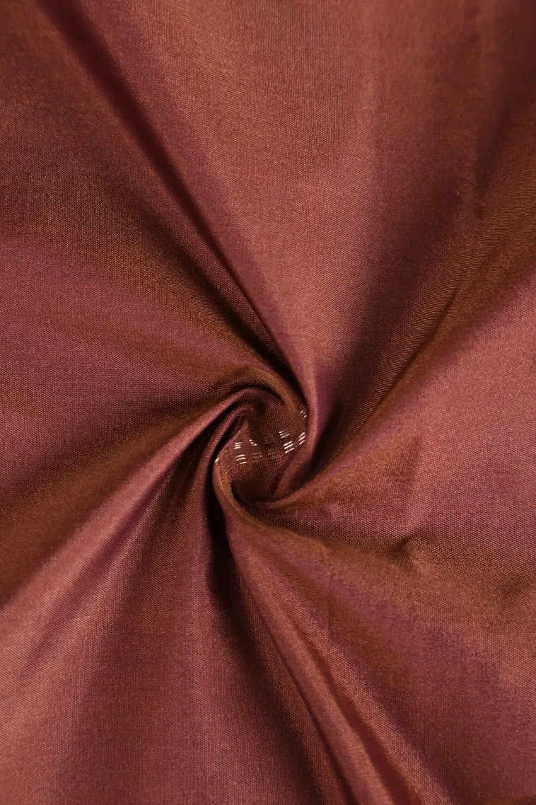 Gingerbread Brown Arani Silk Sarees with Silver Zari Buttis (small Dots Or Motifs) view 4