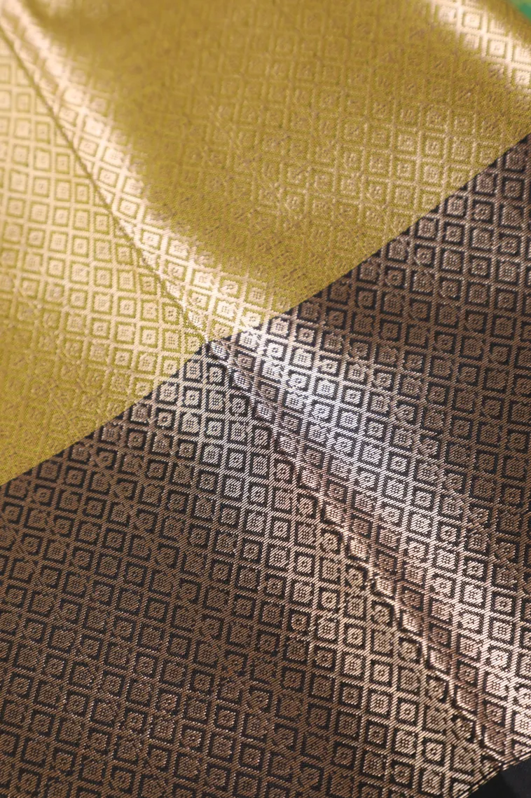 Pear Green Semi Tussar Silk with Bronze Zari Geometric Shapes view 3