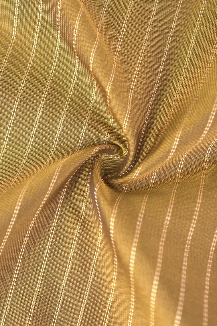 Gold Arani Silk Sarees with Silver Zari Stripes view 4