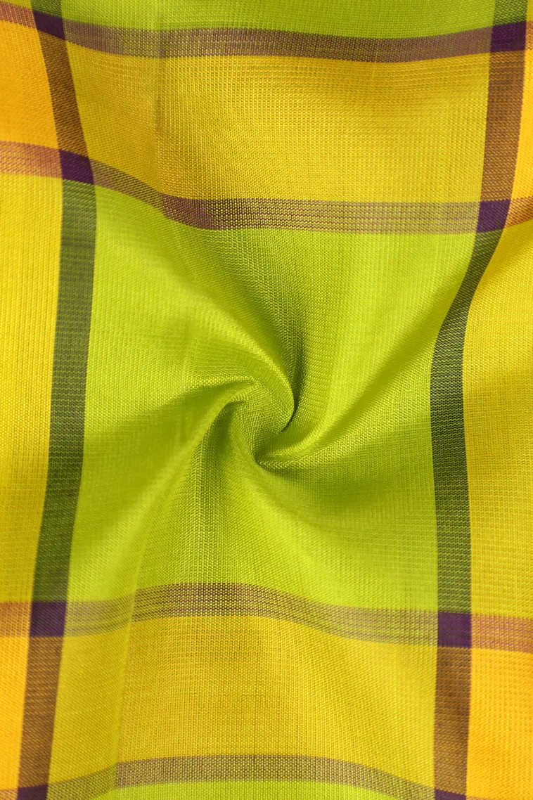 Lime Green Soft Silk Saree with Gold Zari Checks view 4