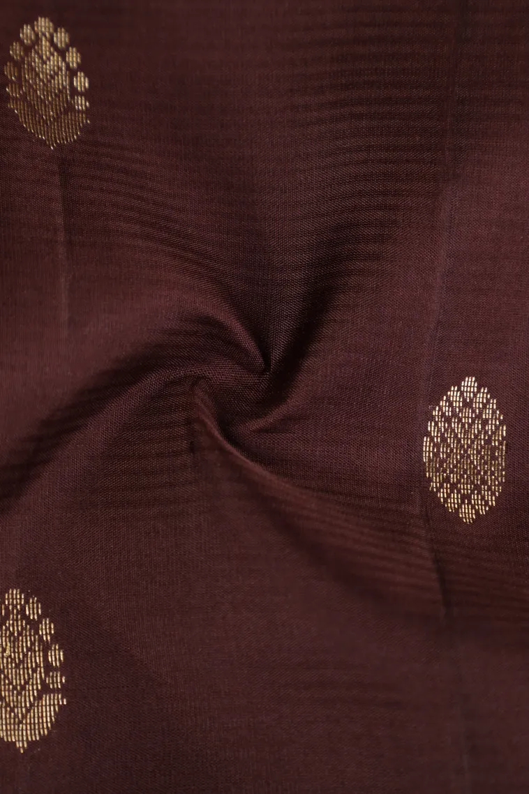 Coffee Brown Soft Silk Saree with Gold Zari Buttis (small Dots Or Motifs) view 4