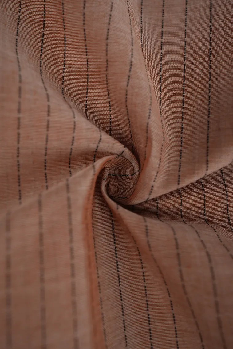 Peanut Brown Kanchi Cotton Sarees Without Zari With Stripes And Puttas view 4