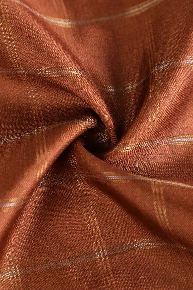 Tawny Brown Tussar Saree with Gold And Silver Zari Checks view 4