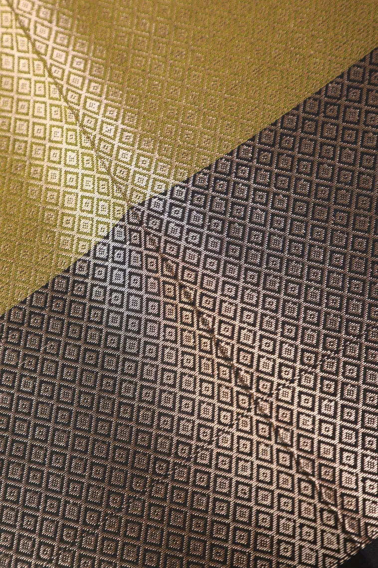 Sage Green Semi Tussar Silk with Bronze Zari Geometric Shapes view 3