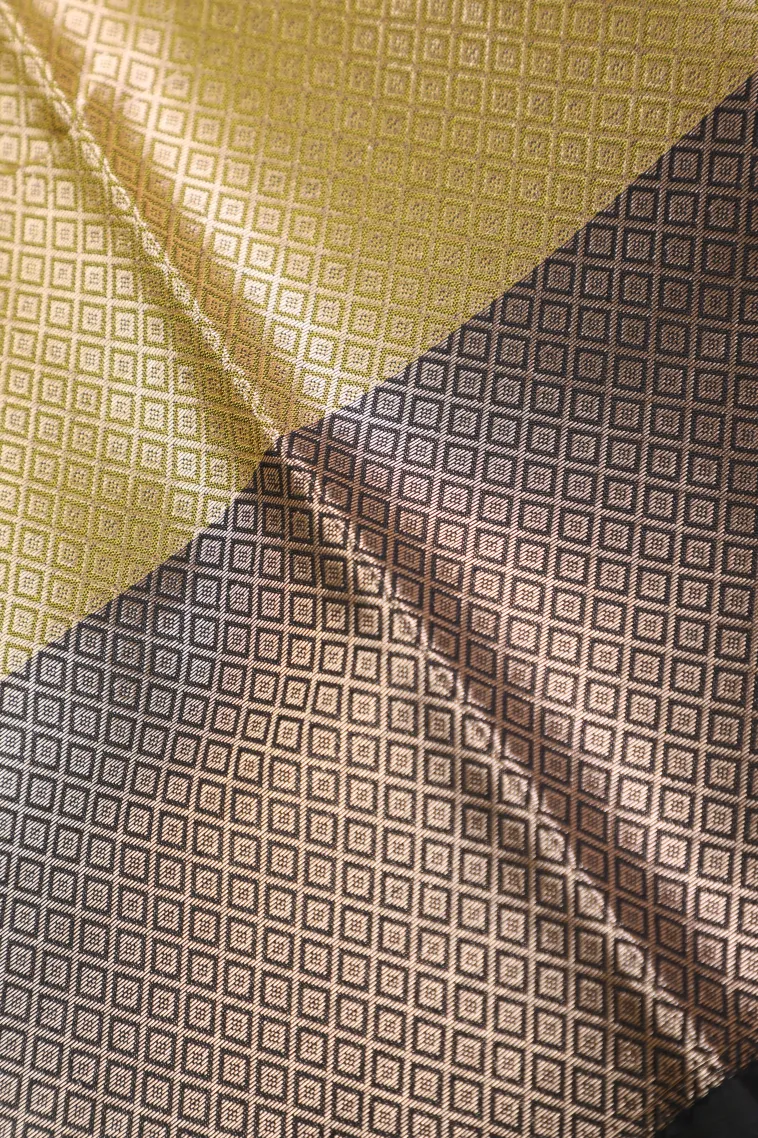 Sage Green Semi Tussar Silk with Bronze Zari Floral Patterns view 3