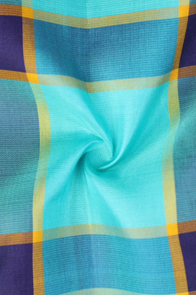 Arctic Blue Soft Silk Saree with Gold Zari Checks view 4