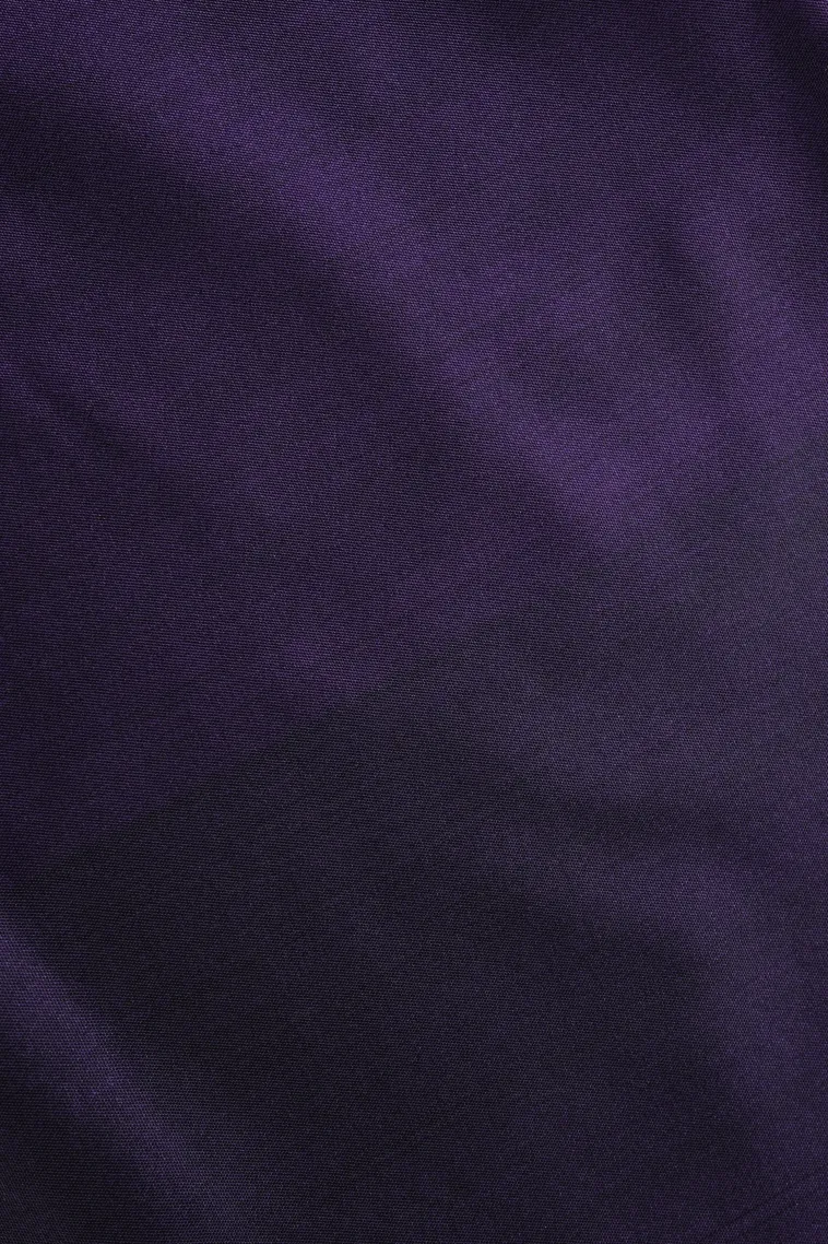 Mauve Purple Soft Silk Saree with Gold Zari Tree Mottif view 3