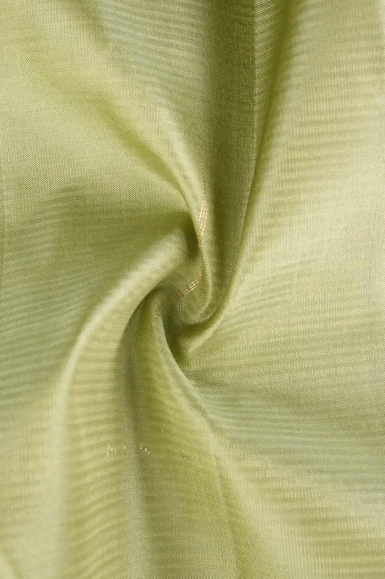 Pistachio Green Soft Silk Saree with Gold Zari Vaira Oosi view 4