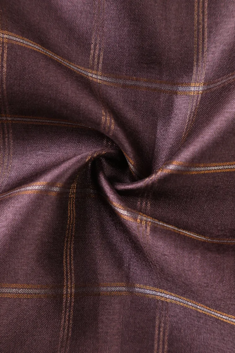Sangria Red Tussar Saree with Gold And Silver Zari Checks view 4