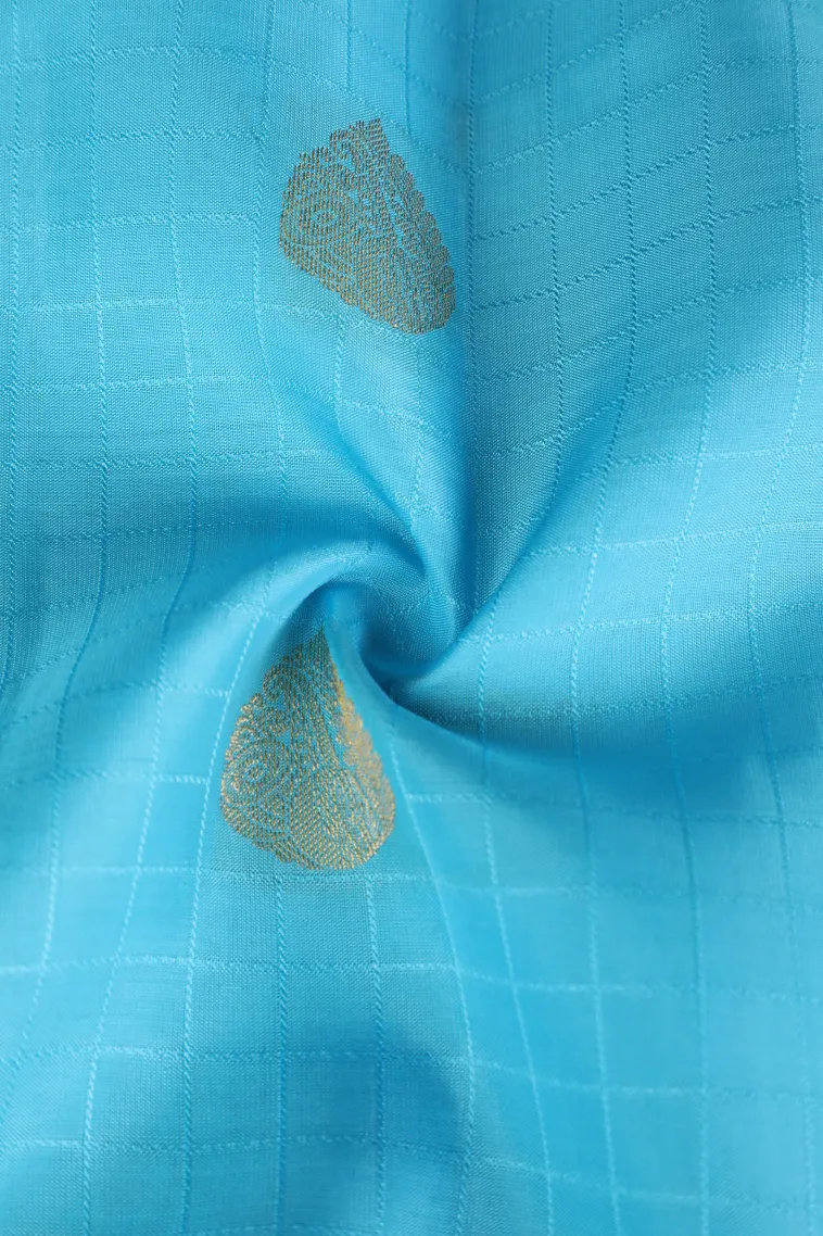 Sky Blue Soft Silk Saree with Gold Zari Checks And Puttas view 4