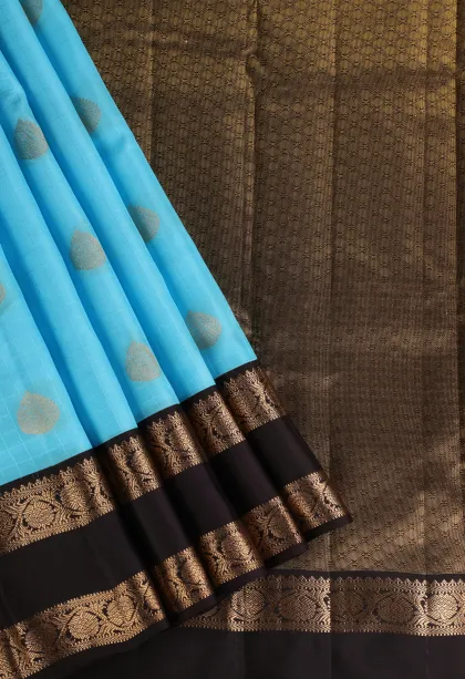 Sky Blue Soft Silk Saree with Gold Zari Checks And Puttas