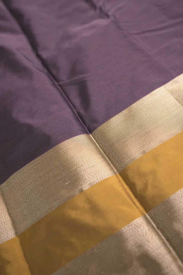 Rasin Purple Arani Silk Sarees with Gold Zari Cross Stripes view 3